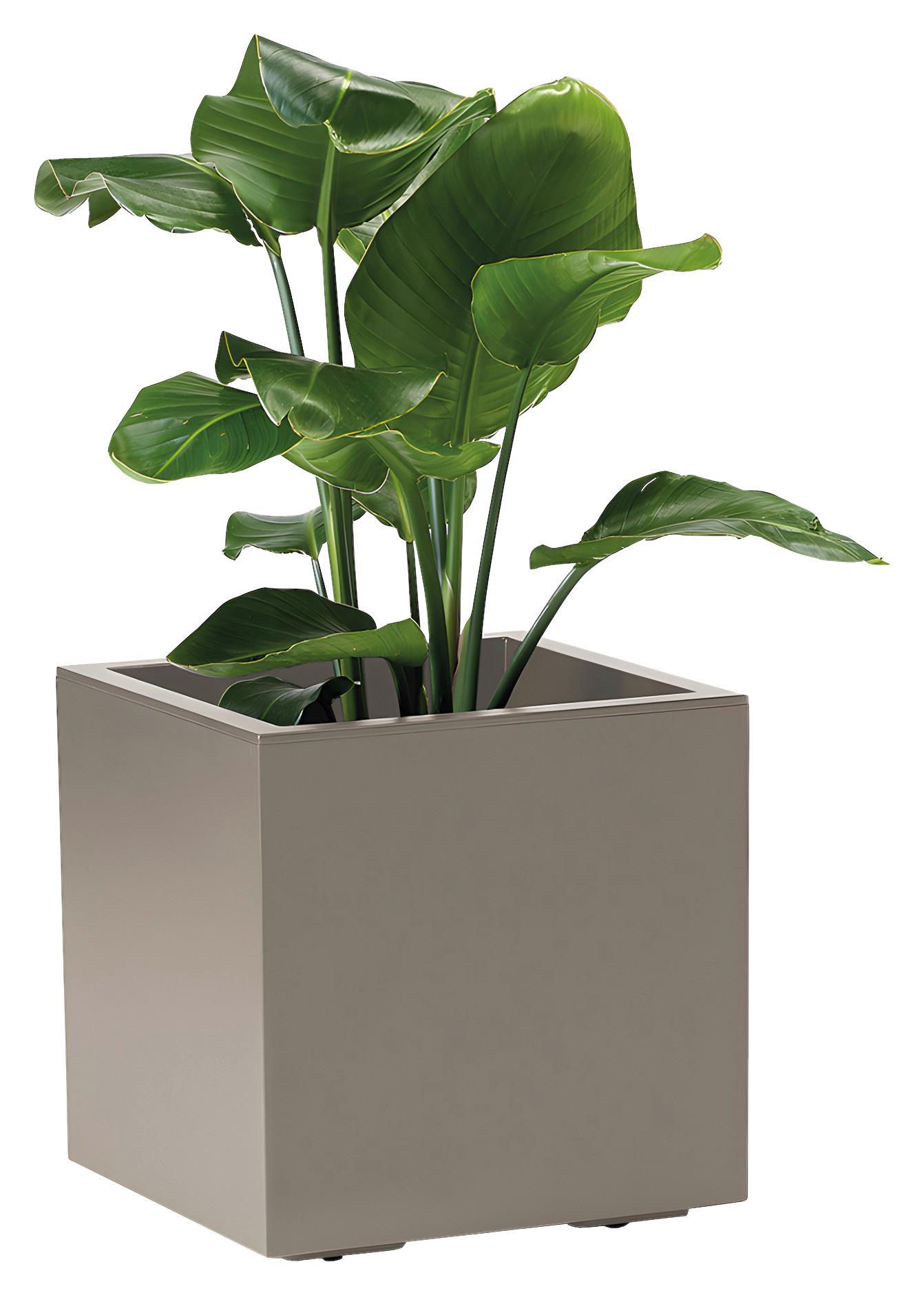 BLUMENKASTEN Taupe B: 39,5 cm - Taupe, Basics, Kunststoff (39,5/39,5/39,5cm)