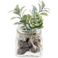 Kunstpflanze Sukkulente Grün L: 9,5 Cm, Haviva - Klar/Grau, MODERN, Glas/Kunststoff (5,1/9,5cm) - Luca Bessoni