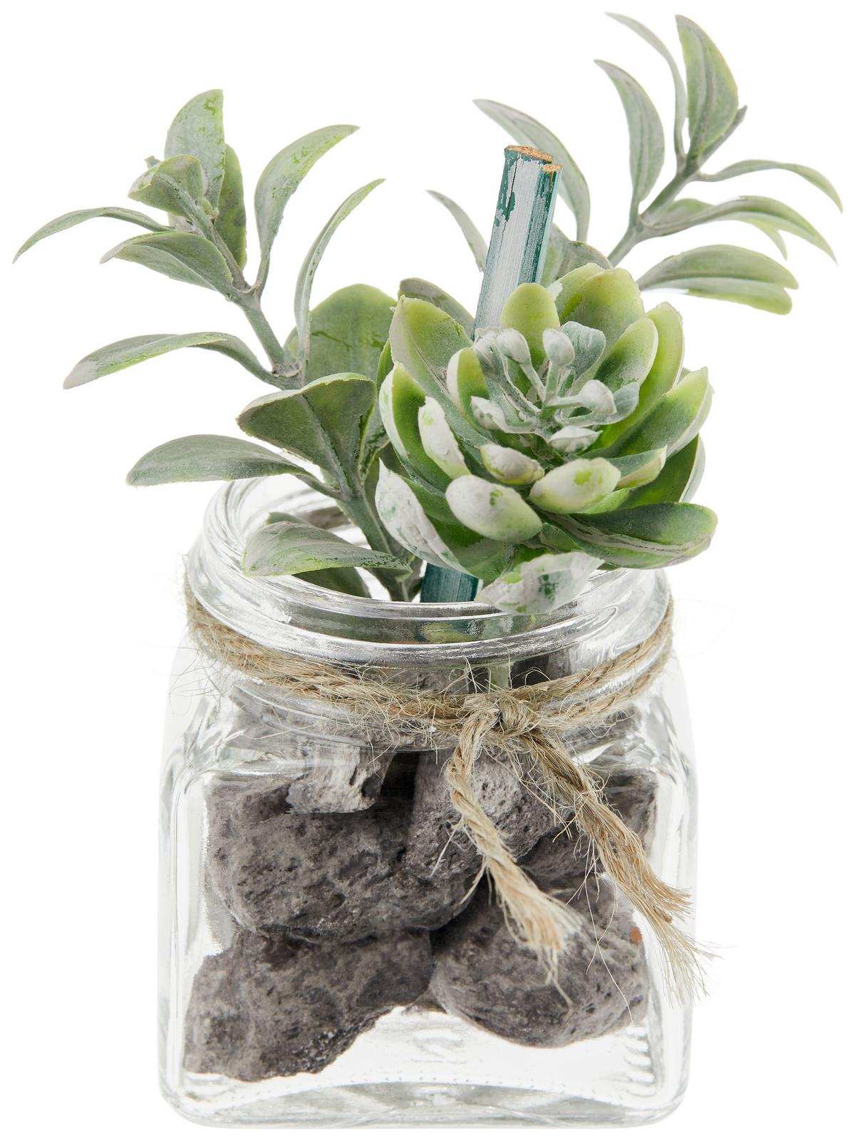 Kunstpflanze Sukkulente Grün L: 9,5 Cm, Haviva - Klar/Grau, MODERN, Glas/Kunststoff (5,1/9,5cm) - Luca Bessoni