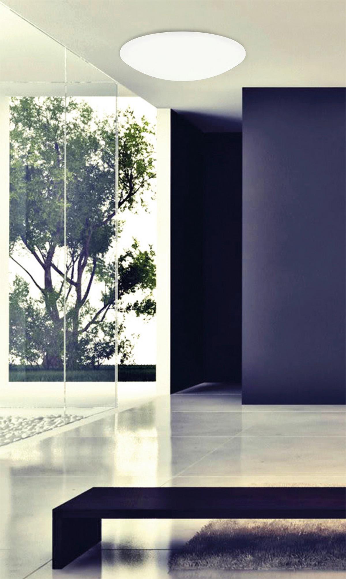 Led-deckenleuchte Ø 60 Cm Dimmbar Mit Memory-Funktion - Weiß, Basics, Kunststoff/Metall (60/15cm) - Näve