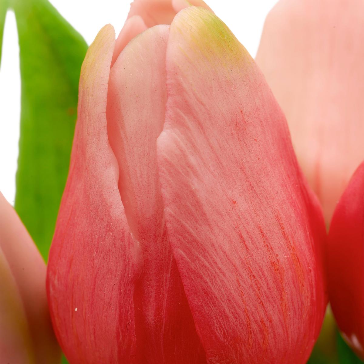 Tulipán TULPENBUND I - zelená/ružová, Basics, kov/plast (31cm) - Mömax
