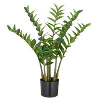 Kunstpflanze Zamifolia Kunststoff, Grün, H: 70 Cm - Schwarz/Braun, Basics, Kunststoff (70cm)