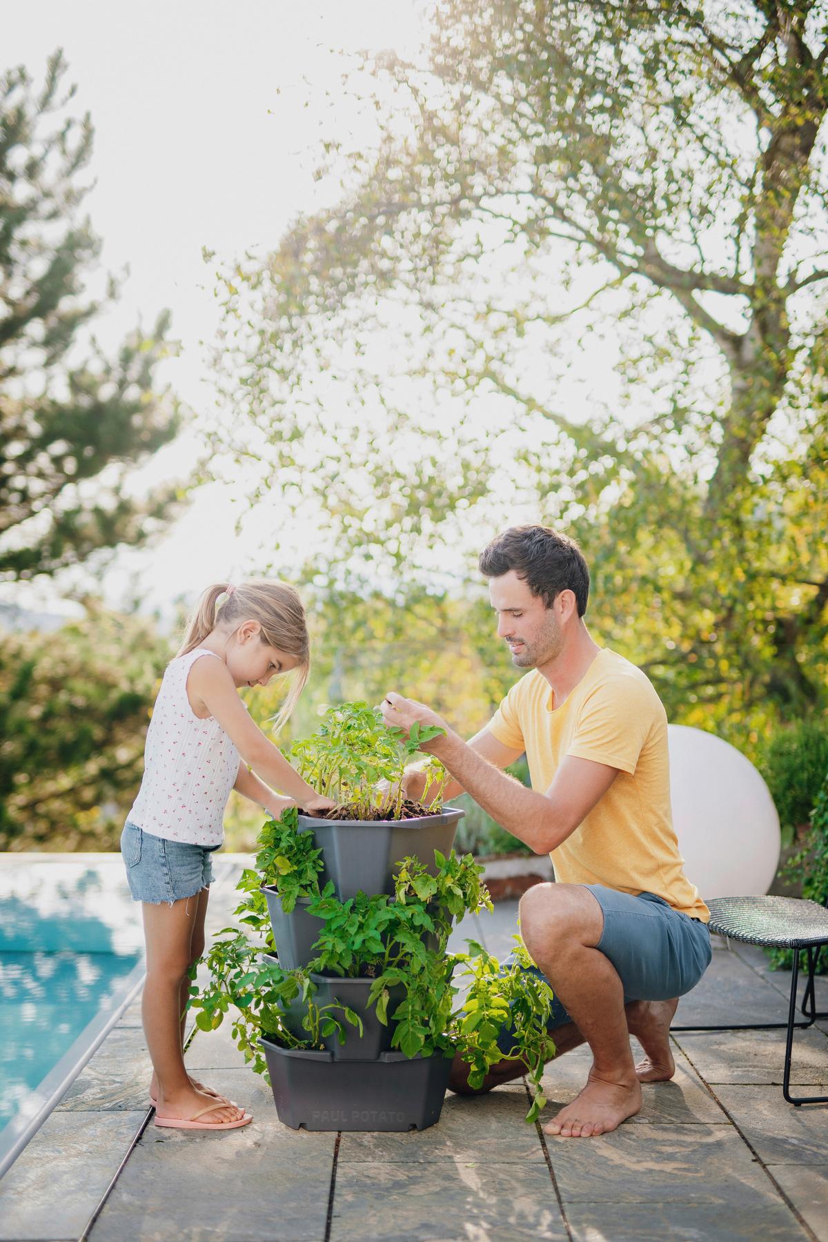 Übertopf Paul Kunststoff Outdoor B/H/T: 44x65x44 cm - Anthrazit, Basics, Kunststoff (44/65/44cm) - Gusta Garden