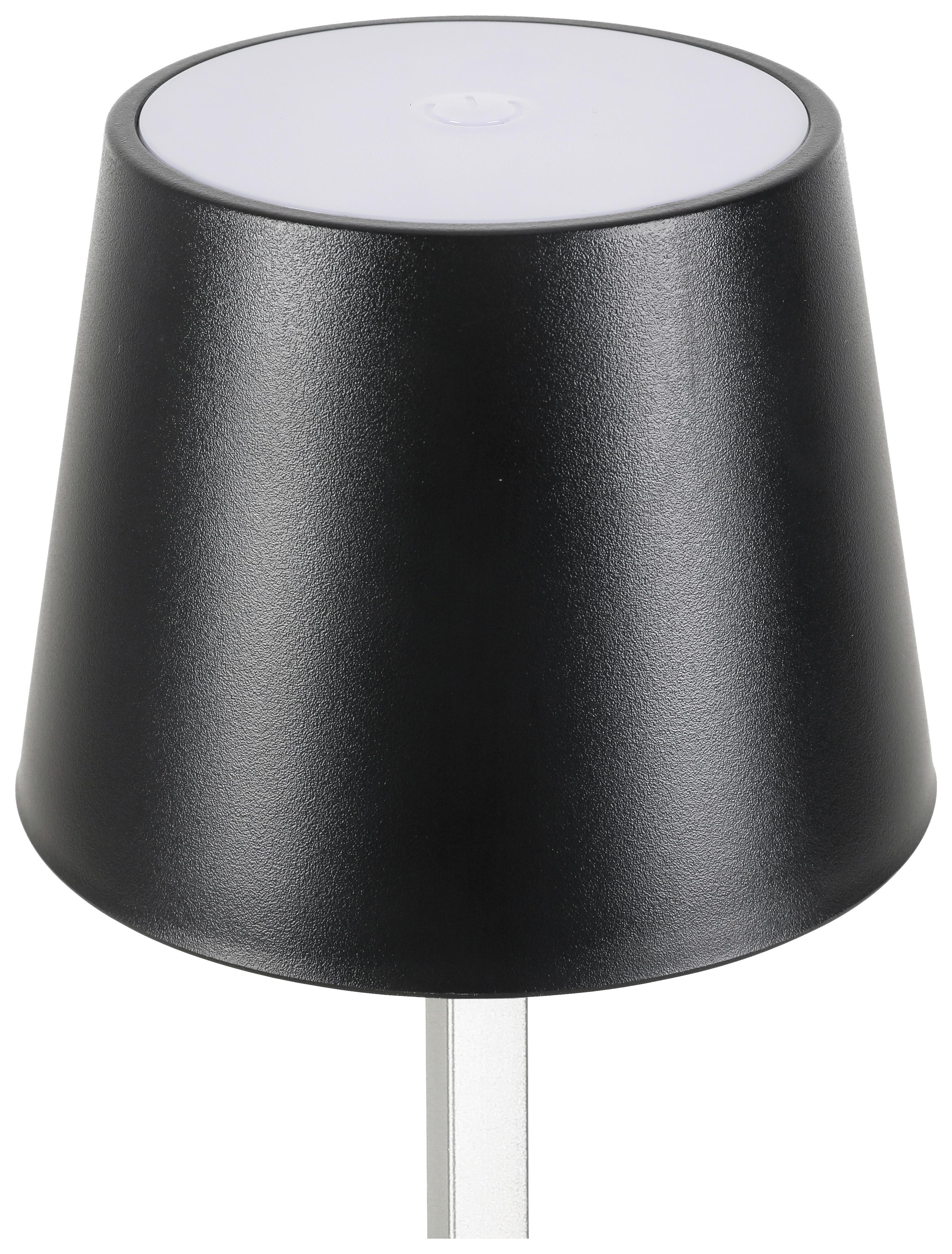 DEKORAČNÉ LED SVIETIDLO GOPI - čierna/strieborná, Romantik / Landhaus, kov/plast (10,5/26cm) - Modern Living