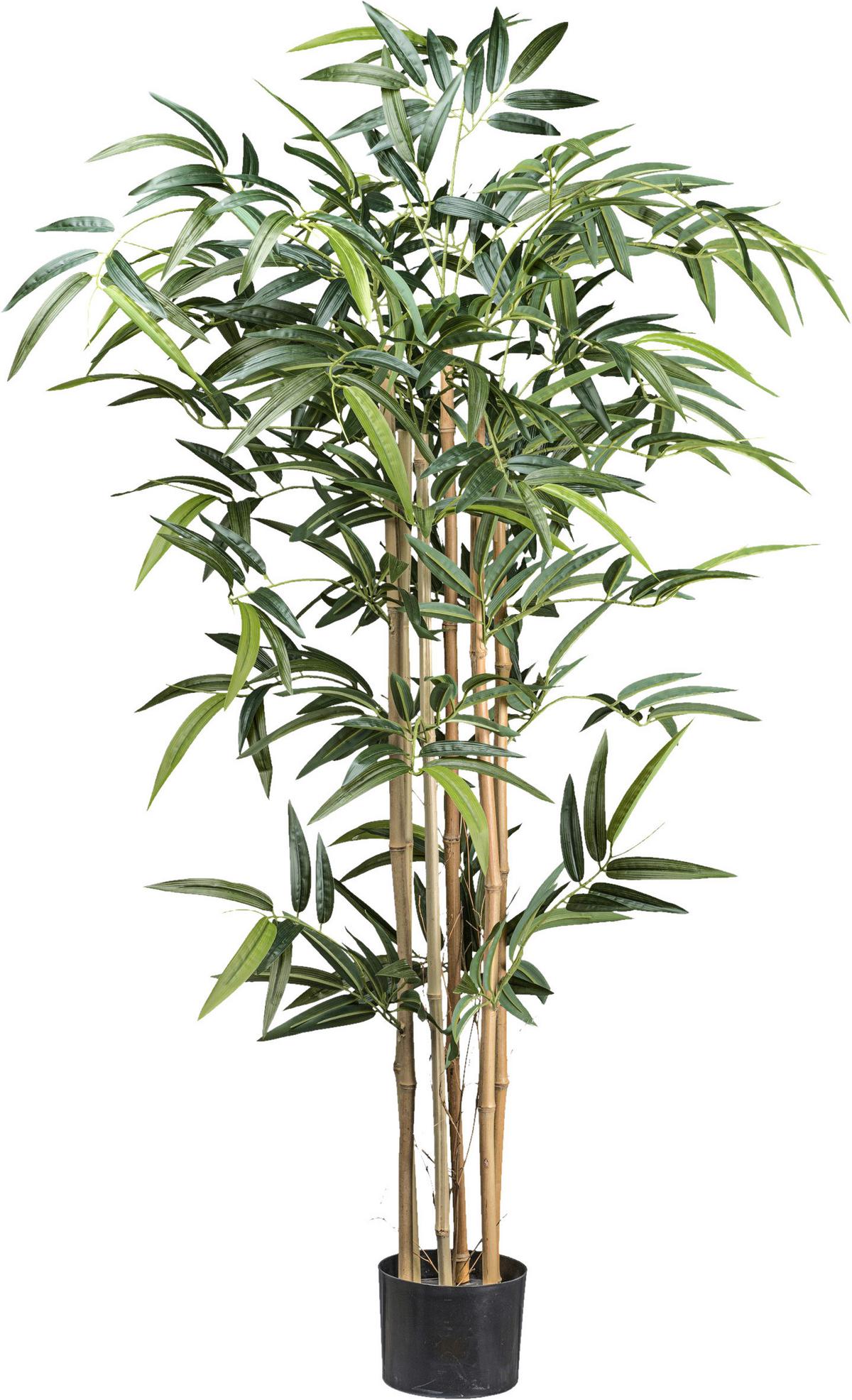 Kunstpflanze Bambus H: 130 cm - Schwarz/Braun, Design, Naturmaterialien/Kunststoff (130cm) - P & B