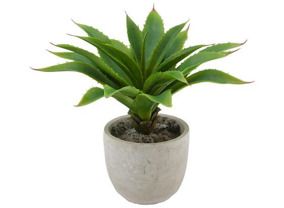 Rostlina Umělá Agave I - zelená, Konvenční, umělá hmota (30cm) - Mömax modern living Rostlina Umělá Agave I - zelená, Konvenční, umělá hmota (30cm) - Mömax modern living
