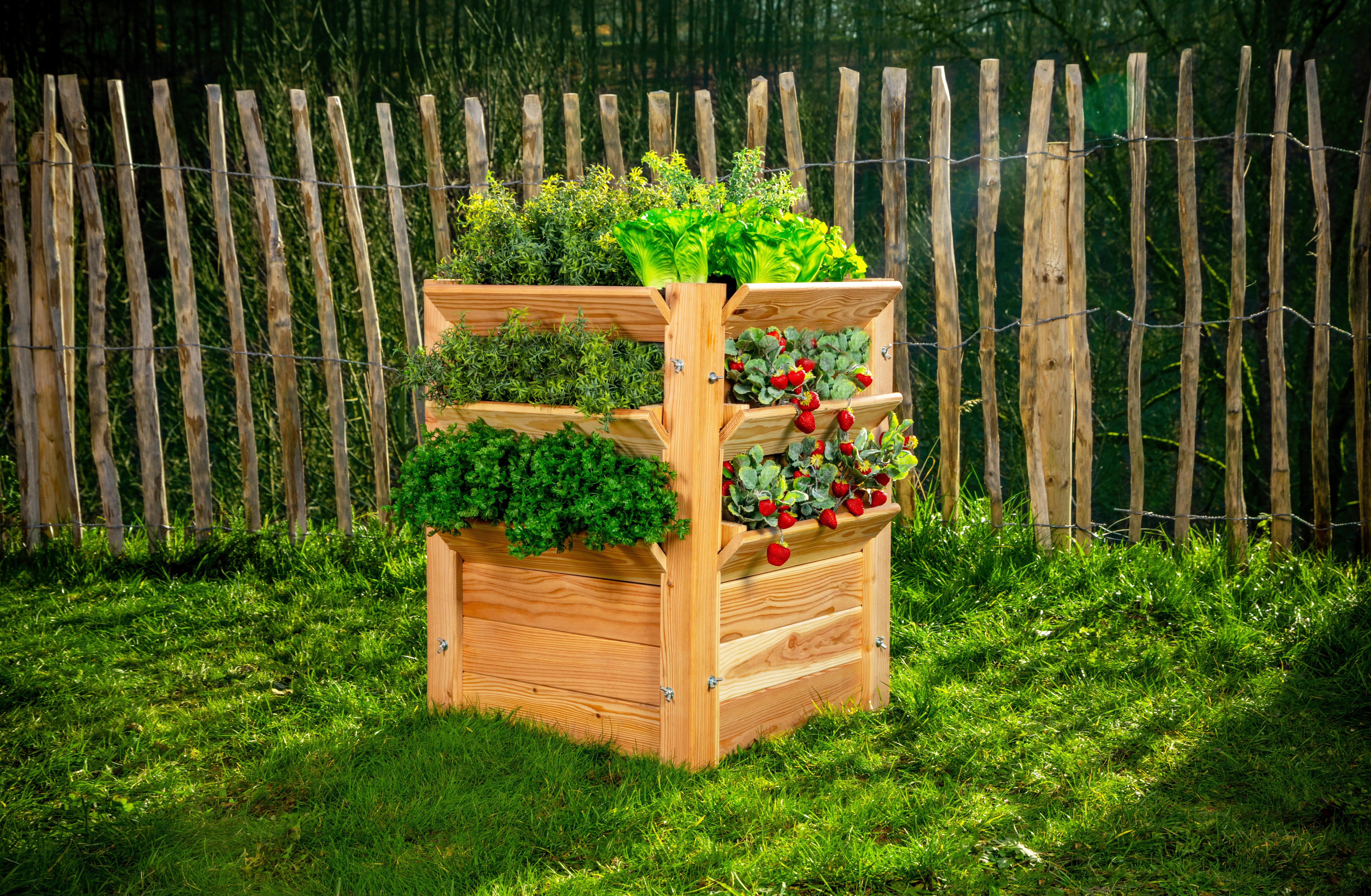 Hochbeet Echtholz Lärche 65x73x65 Cm - Lärchefarben, Basics, Holz (65/73/65cm)