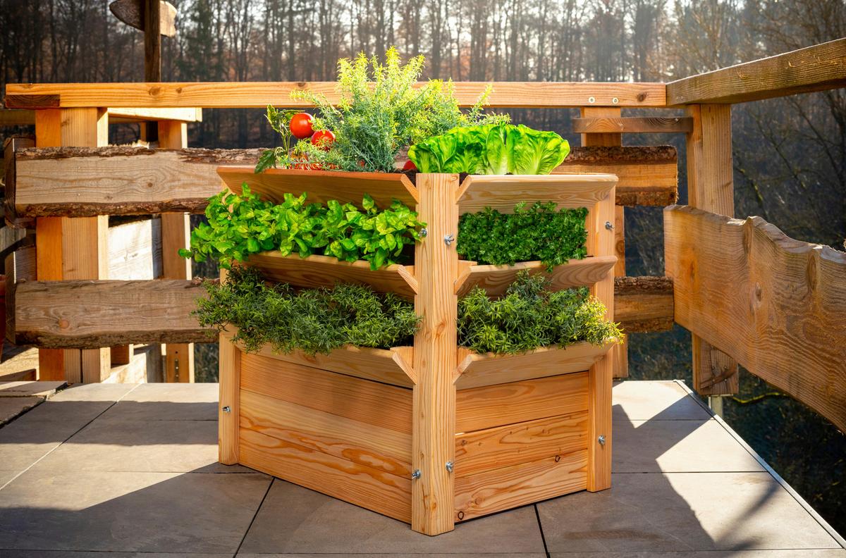 Hochbeet Echtholz Lärche 90x73x65 cm Lärchefarben - Lärchefarben, Basics, Holz (90/73/65cm)