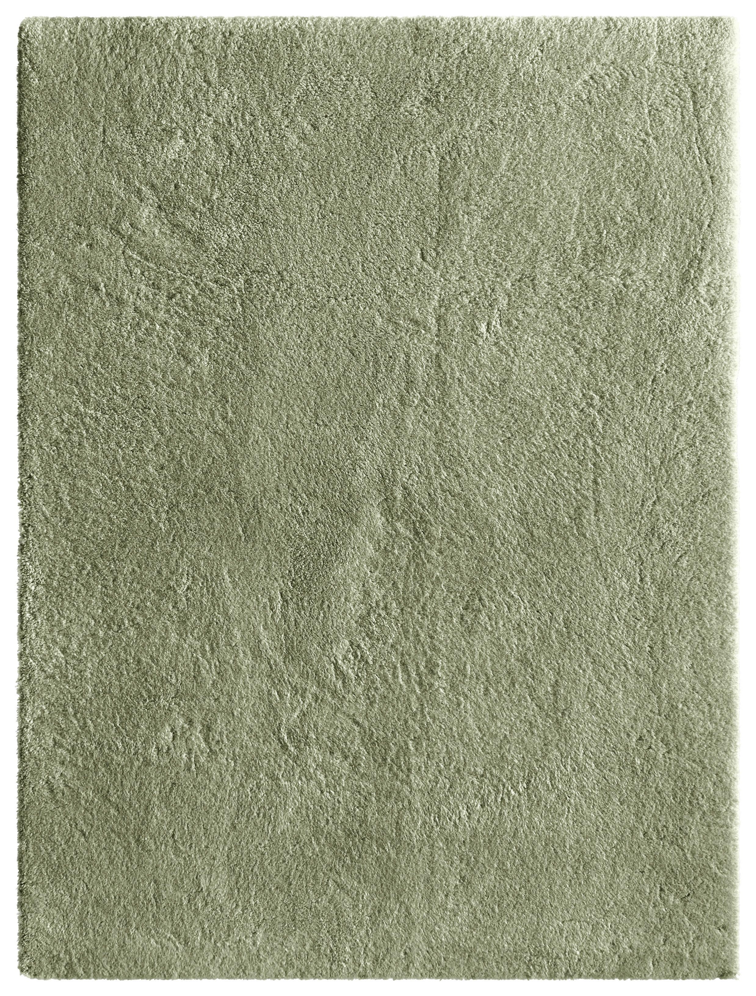 Teppich, Grün, Flor: 22mm Roya - Hellgrün/Grün, MODERN, Textil (160/230cm) - Luca Bessoni