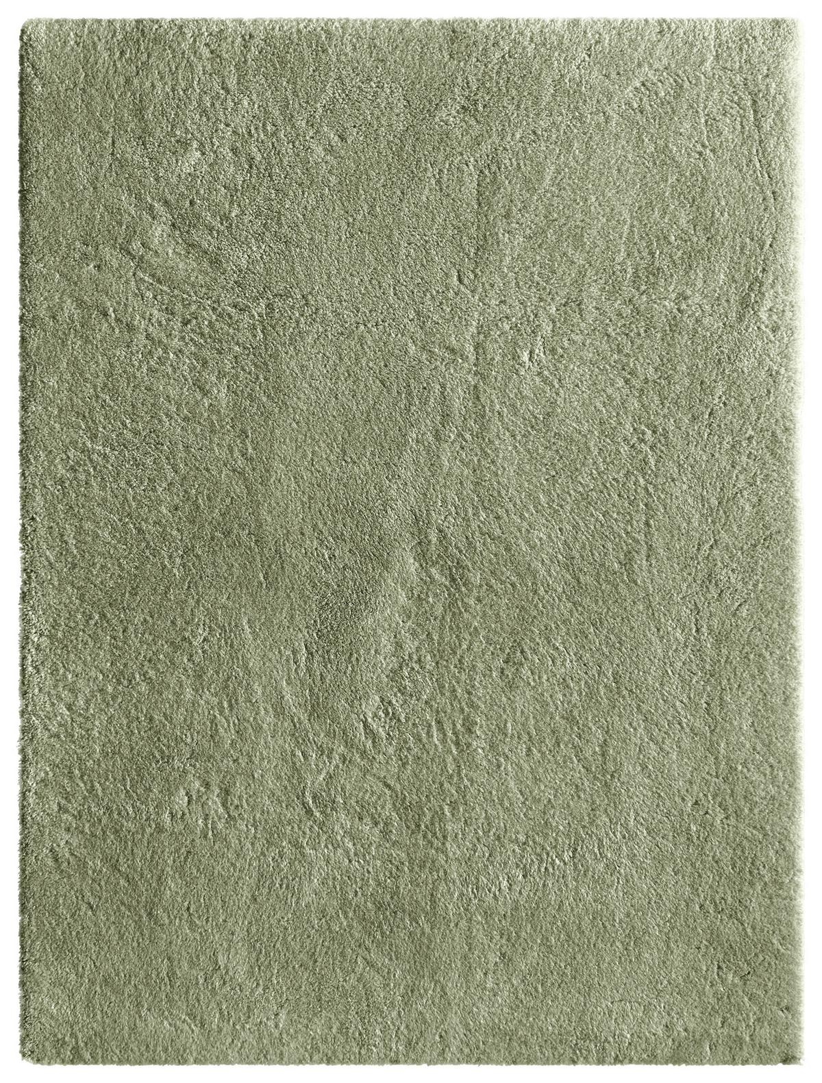 Szőnyeg Roya Kb. 160/230cm - világoszöld/zöld, Modern, textil (160/230cm) - Luca Bessoni