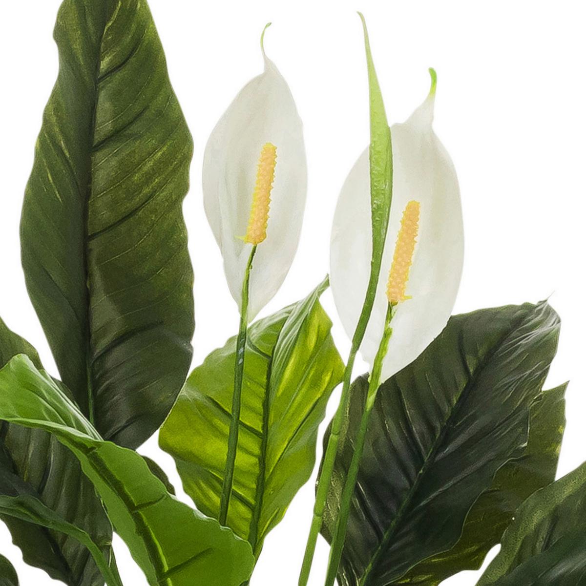 Kunstpflanze Spathiphyllum Weiß/Grün B: 55cm - Weiß/Grau, MODERN, Kunststoff (55/60/40cm) - MID.YOU