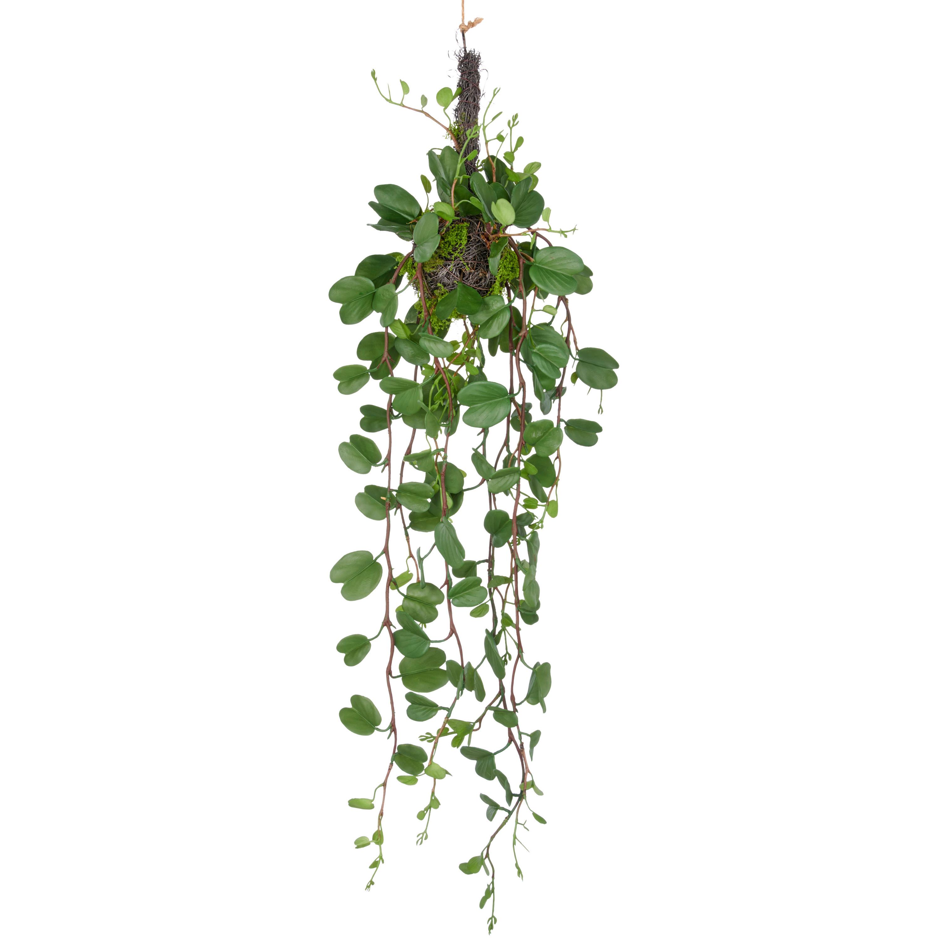 Kunstpflanze Grün B: 17 cm - Grün, Basics, Kunststoff (17/55/17cm) - P & B