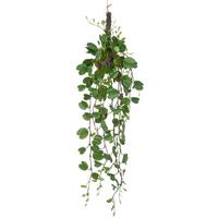 Kunstpflanze Grün B: 17 cm - Grün, Basics, Kunststoff (60cm) - P & B
