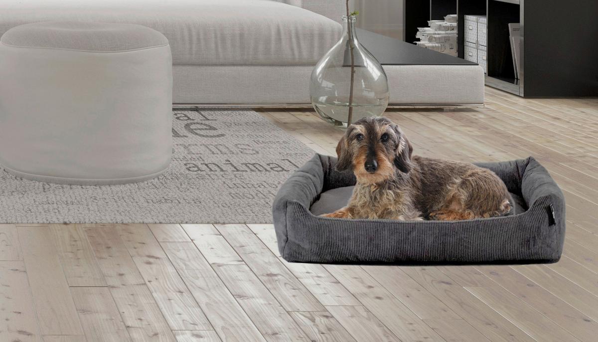 Hundebett Milow Anthrazit L: 70 Cm - Anthrazit, KONVENTIONELL, Textil (70/49/15cm)