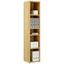 Regál Riga - barvy dubu, Moderní, kompozitní dřevo (40/199,8cm) - Premium Living Regál Riga - barvy dubu, Moderní, kompozitní dřevo (40/199,8cm) - Premium Living