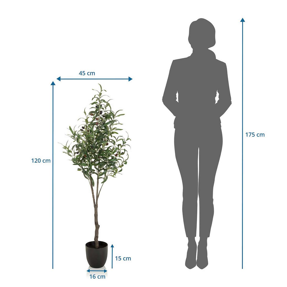 Kunstpflanze Olive - Schwarz/Braun, Basics, Kunststoff (45/120/45cm) - MID.YOU