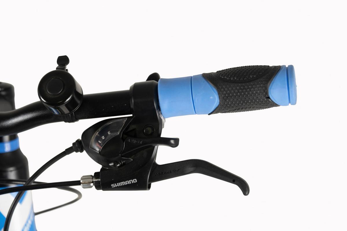 Mountainbike 29'' WYLD Xplicit schwarz/blau - Schwarz, Basics, Metall (25cm)