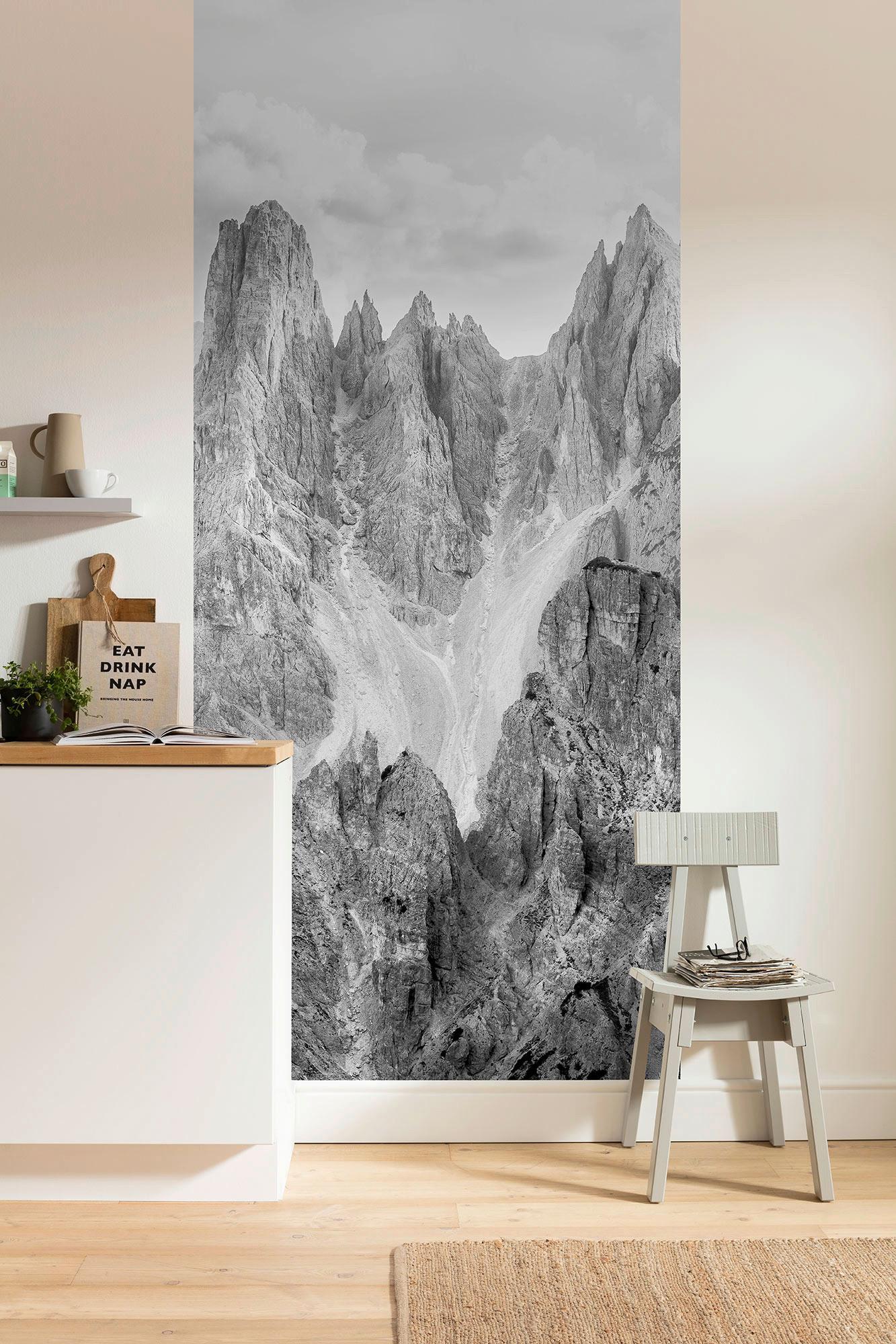 Vliestapete Peaks Panel - Schwarz/Weiß, Basics (100/250cm) - Komar