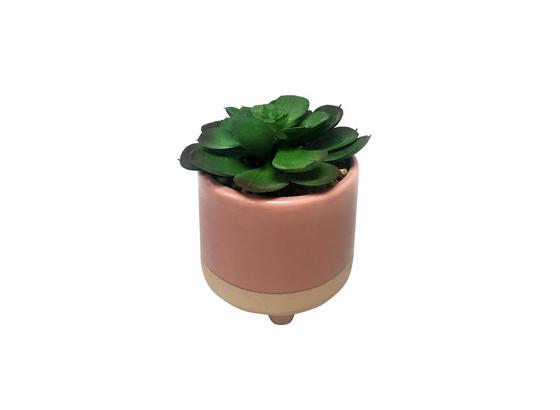 Umelá Rastlina Sukkulente - zelená/terakota, plast/keramika (10,5/13cm) - Mömax modern living Umelá Rastlina Sukkulente - zelená/terakota, plast/keramika (10,5/13cm) - Mömax modern living