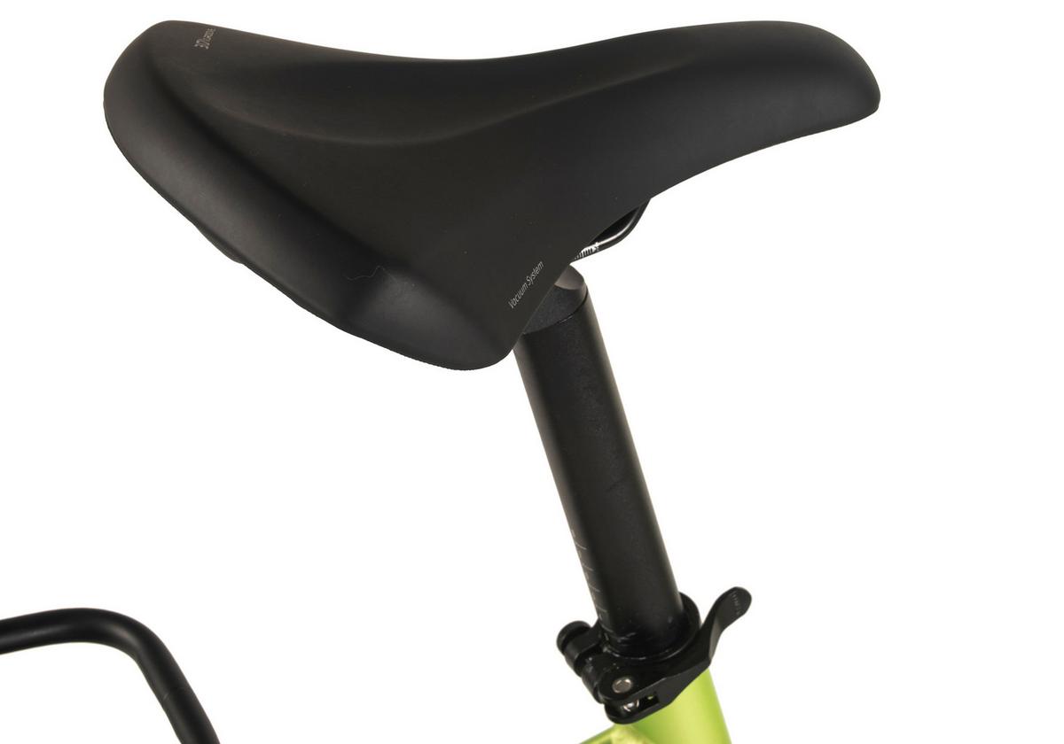 E-Citybike 28'' Grün Matt - Grün, LIFESTYLE, Metall (180/70/100cm)