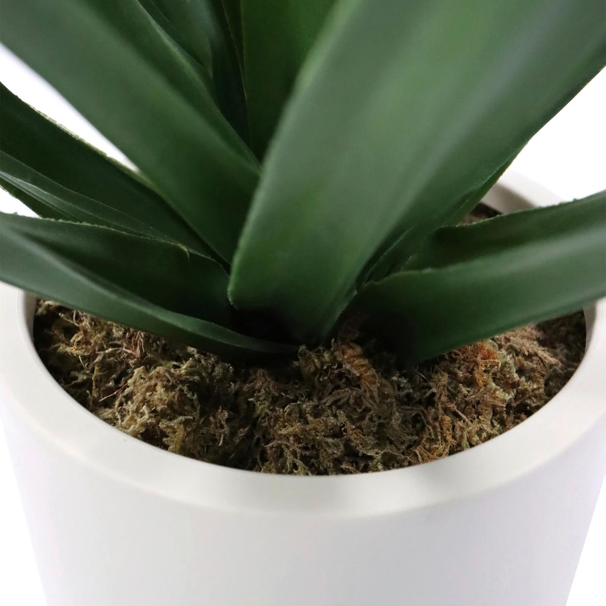 KUNSTPFLANZE Agave Grün B: 40cm - Beige/Grün, MODERN, Kunststoff (40/45/40cm) - MID.YOU