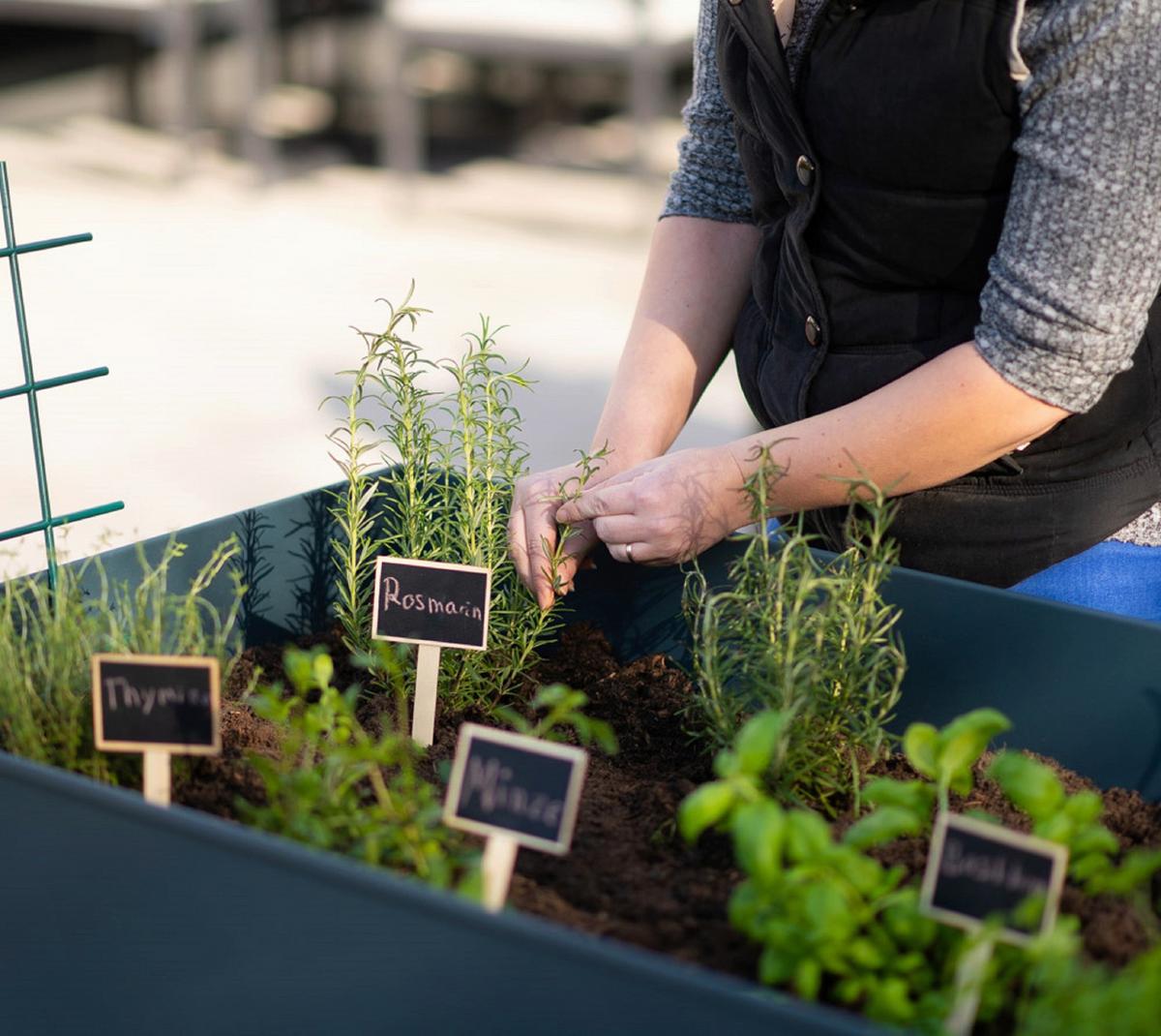 Hochbeet Stahl Swivel mit Ablagen 60/80/120 cm - Anthrazit, Basics, Metall (60/80/120cm)