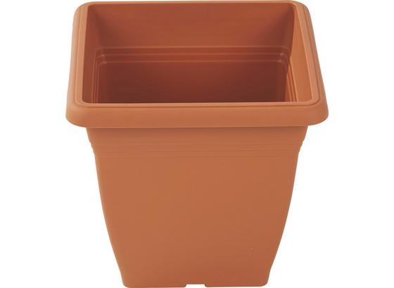 Pflanztopf Irene - Anthrazit/Terra cotta, KONVENTIONELL, Kunststoff (32/32cm) - Ombra Pflanztopf Irene - Anthrazit/Terra cotta, KONVENTIONELL, Kunststoff (32/32cm) - Ombra