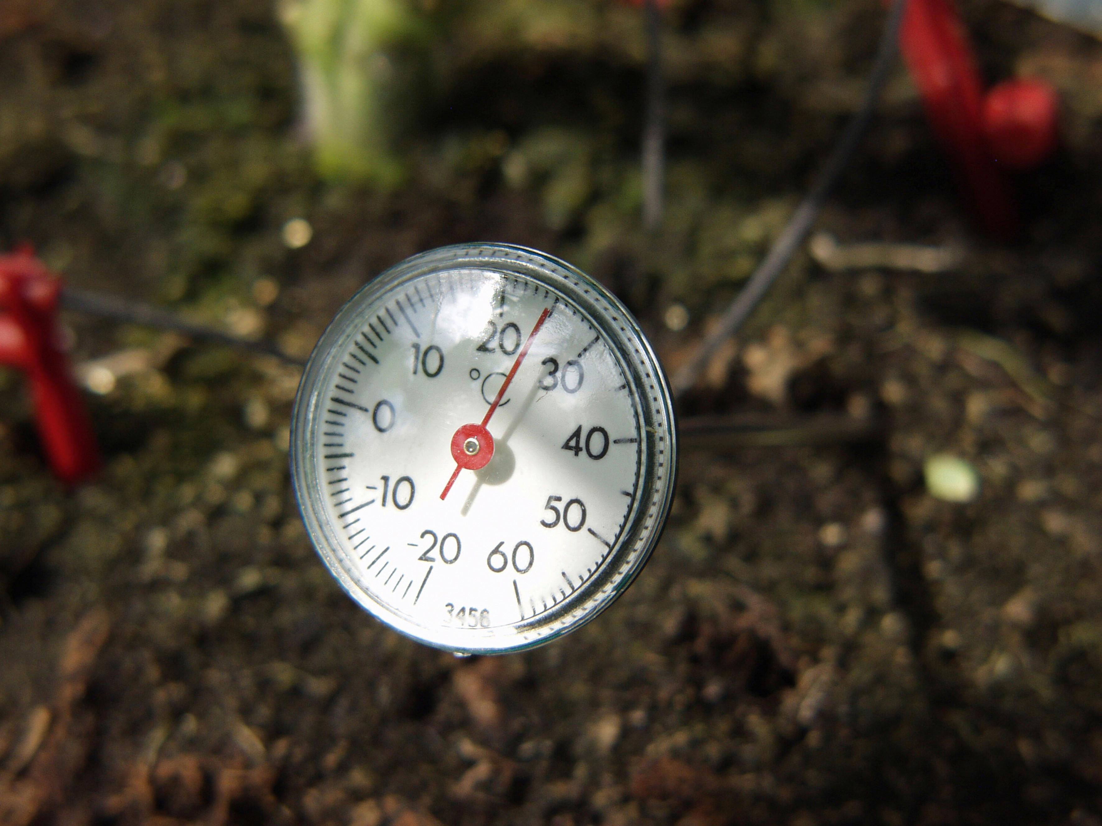Erdthermometer Analog Witterungsbeständig - Silberfarben, Basics, Kunststoff/Metall (4/4/20cm)