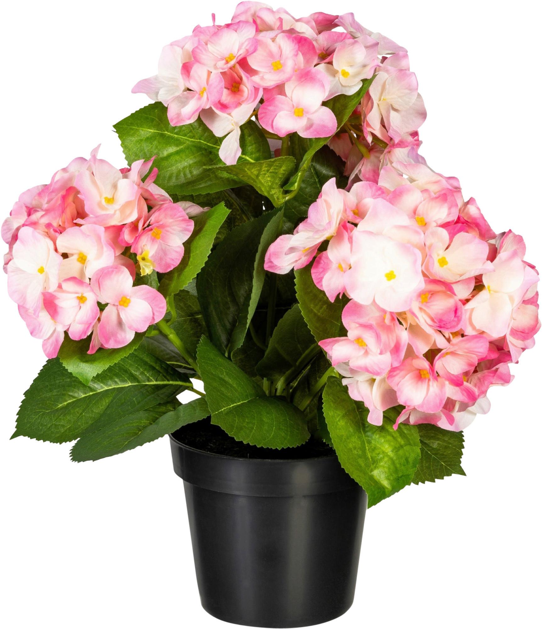Kunstpflanze Blühpflanzen Rosa/Grün, 32 cm - Rosa/Grün, Design, Kunststoff (32cm) - P & B