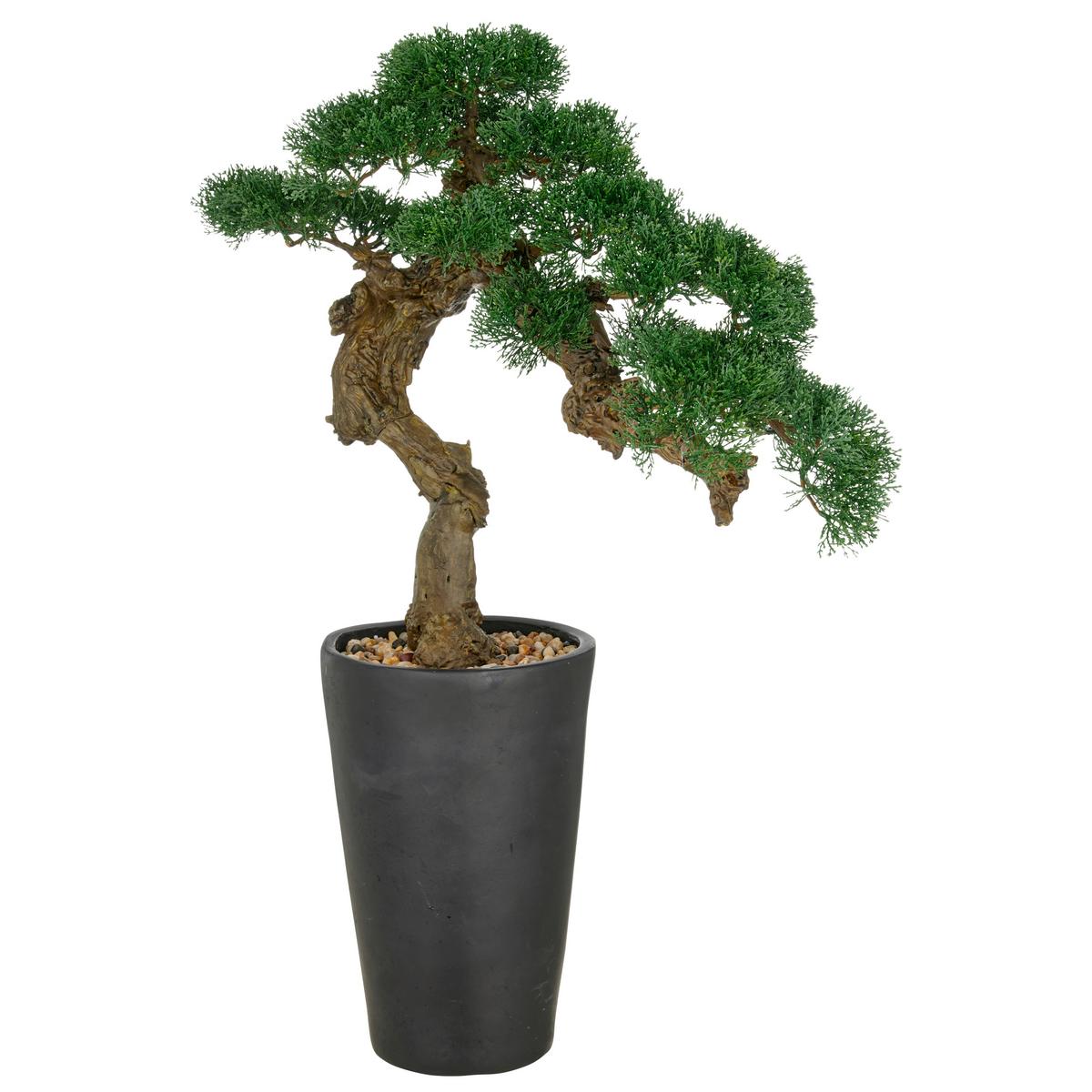 Kunstpflanze Grün Braun Schwarz B: 60 cm - Dunkelgrün/Schwarz, Basics, Keramik/Kunststoff (60/80/60cm) - P & B