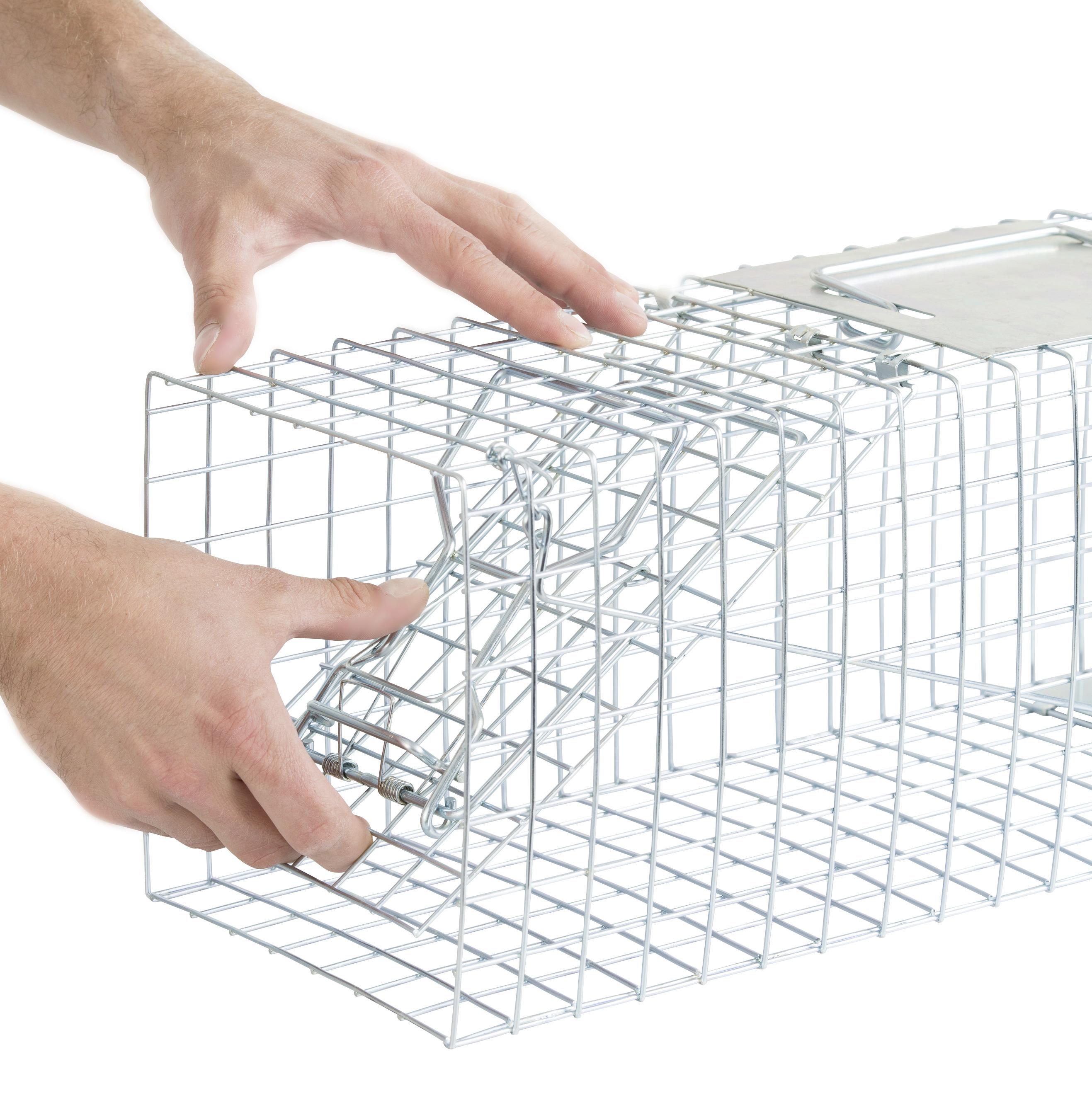 Lebendfalle von WINDHAGER für Marder & Co