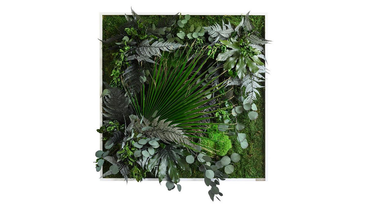 Moosbild Moos Grün B: 80 cm - Weiß/Grün, Basics, Naturmaterialien/Holz (80/80/18-22cm)