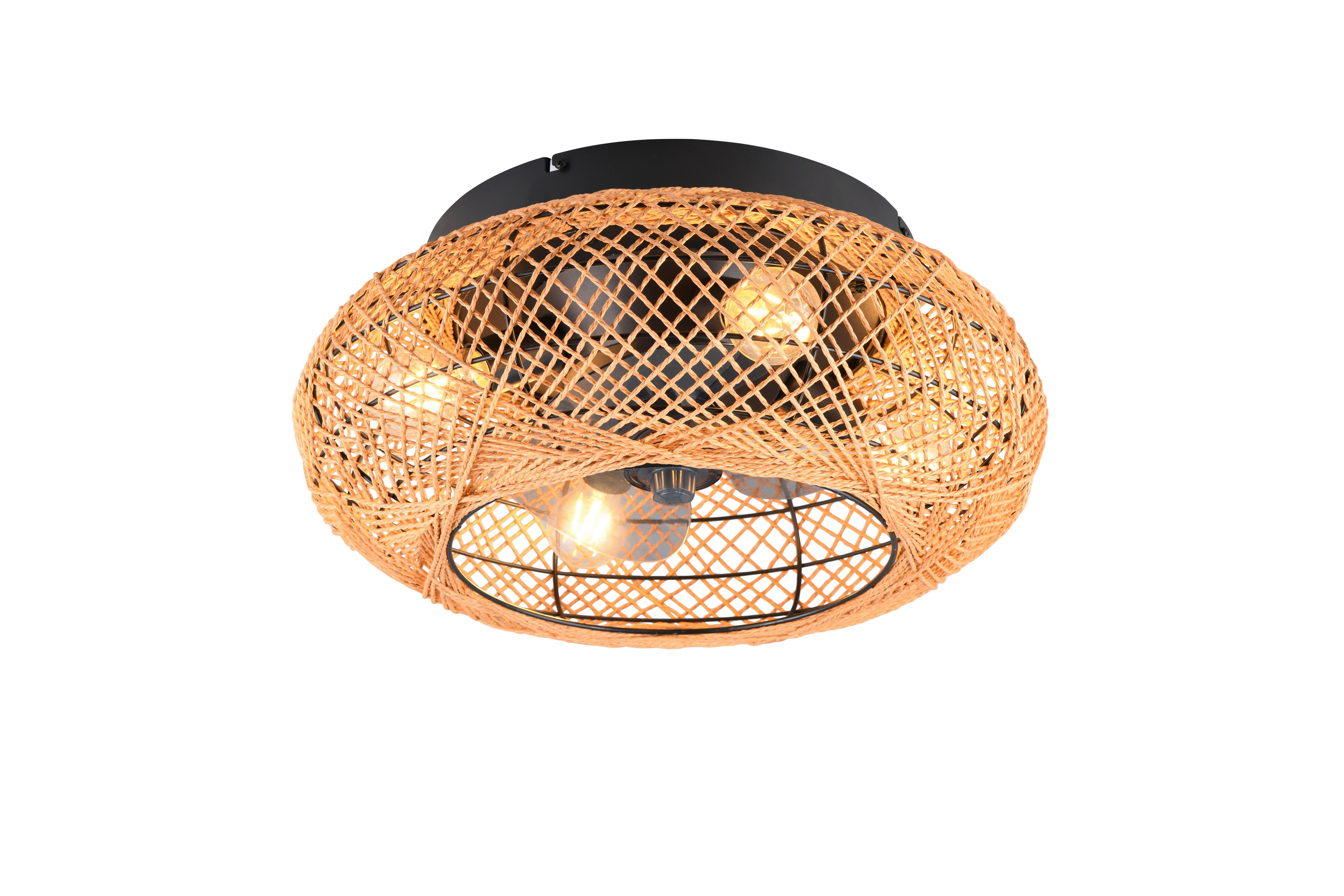 Deckenventilator Lillesand Schwarz D: 50 cm - Transparent/Schwarz, Design, Kunststoff/Metall (50/21,5cm)
