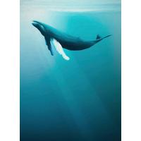 Fototapete Artsy Humpback Whale - Multicolor, Trend, Papier (200/280cm)