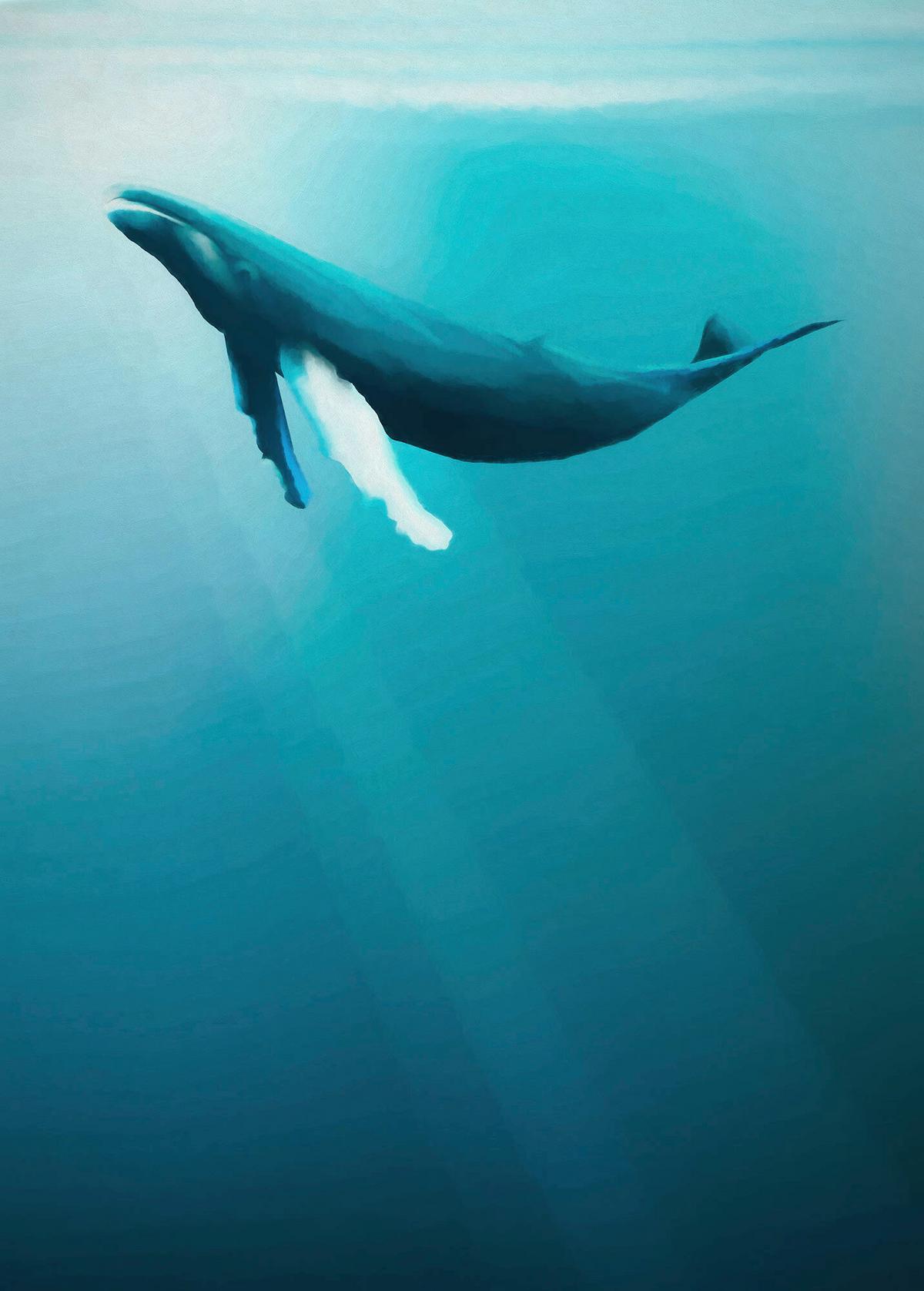 Fototapete Artsy Humpback Whale - Multicolor, Trend, Papier (200/280cm)
