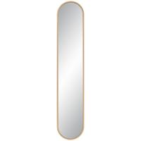 Zrkadlo MONI zlatá - zlatá, Modern, plast/sklo (20/101cm) - Mömax