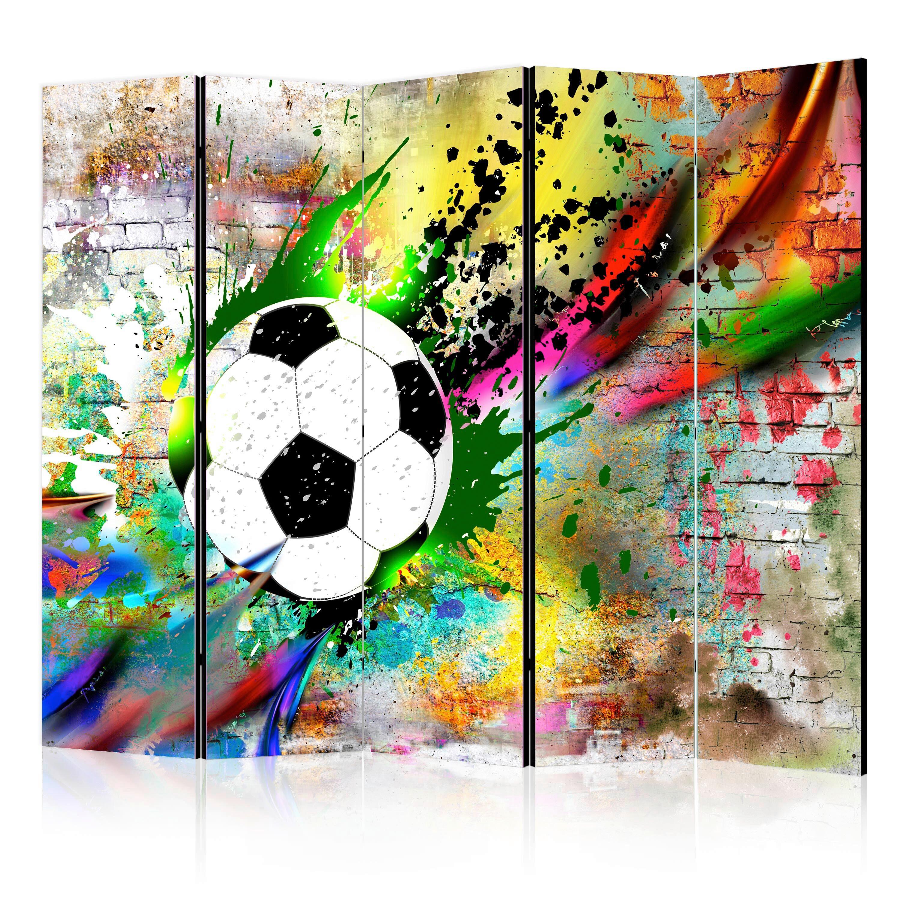 Paravent Multicolor B: 225 cm