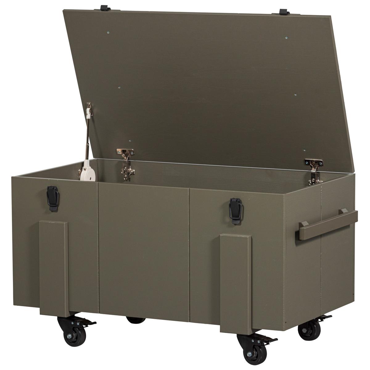 Truhe Bobby Grün B: 100cm - Grün, Design, Holz (100/55/56cm) - Livetastic