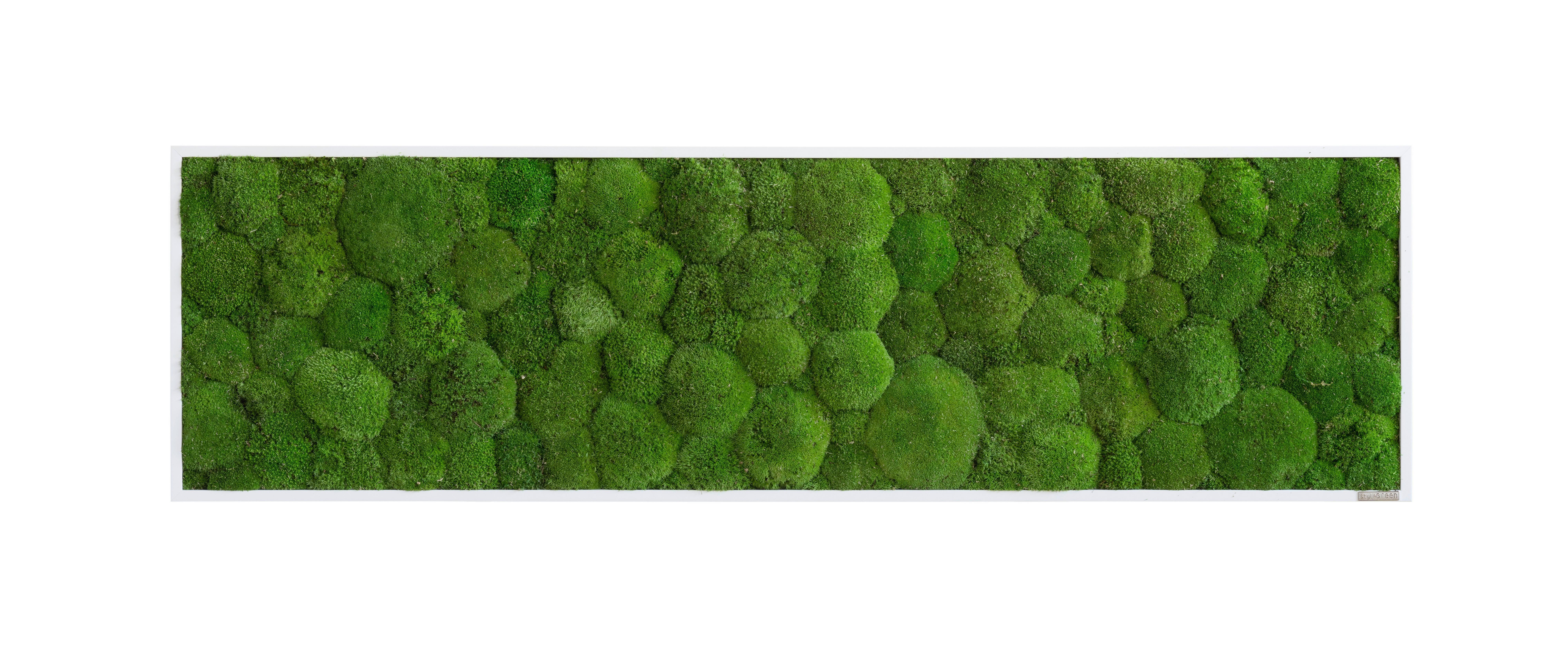 Moosbild Grün B: 140 cm - Weiß/Grün, Basics, Naturmaterialien/Holz (140/40/7cm)