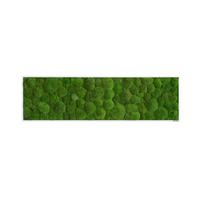 MOOSBILD Grün B: 140 cm - Weiß/Grün, Basics, Naturmaterialien/Holz (140/40/7cm)