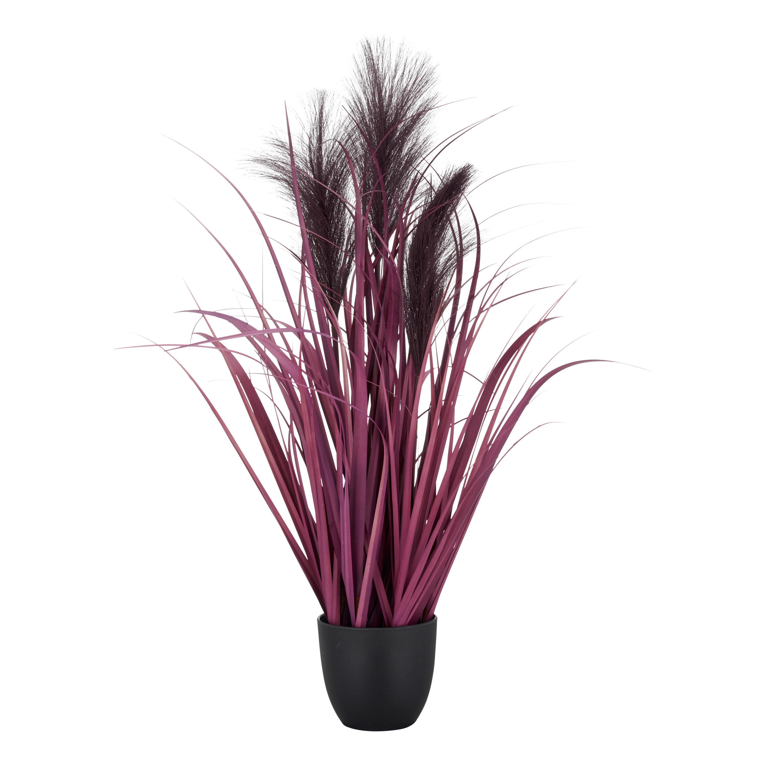 Umelá rastlina PAMPASGRAS I - lila/čierna, Basics, plast (10,5/65cm) - Mömax