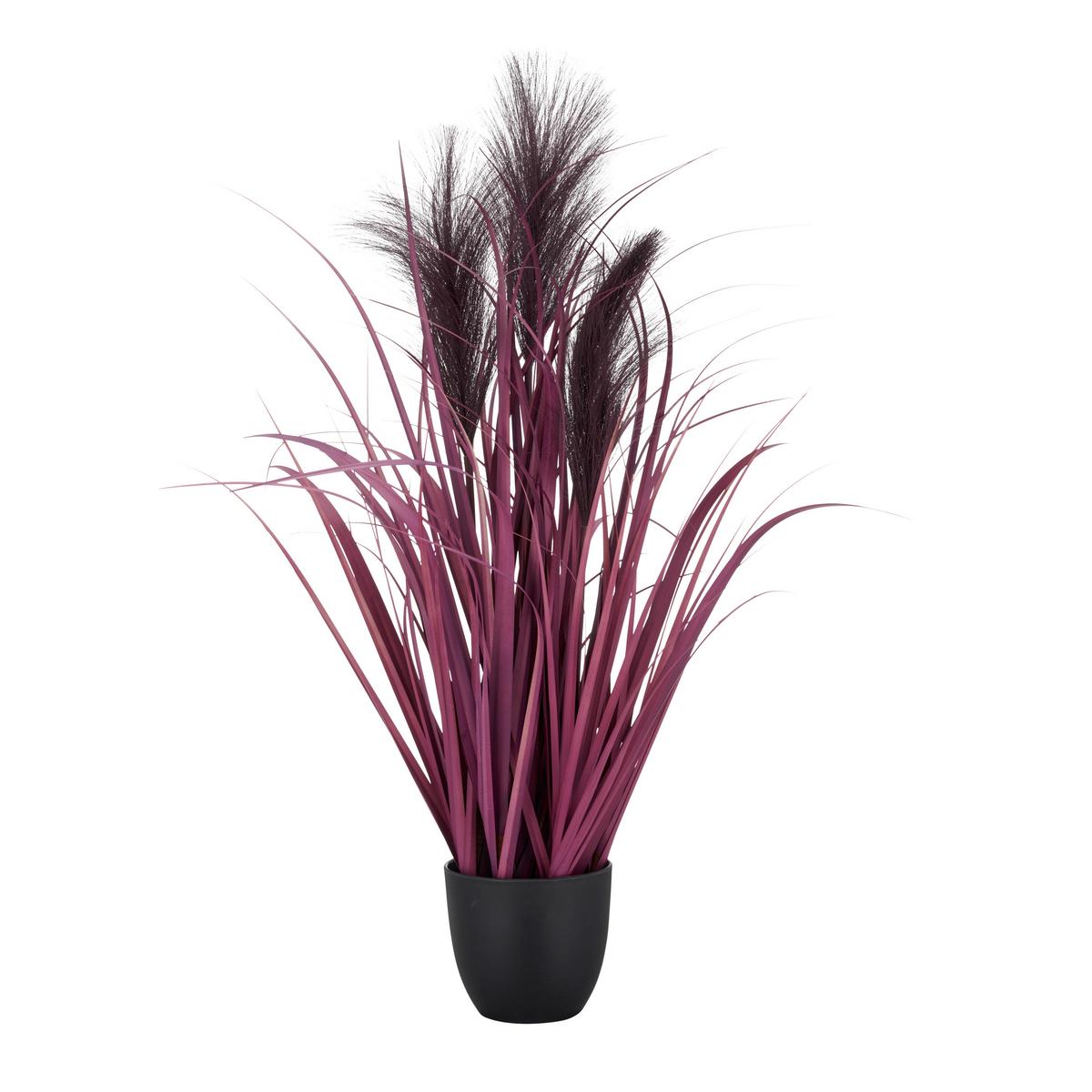 Umelá rastlina PAMPASGRAS I - lila/čierna, Basics, plast (10,5/65cm) - Mömax
