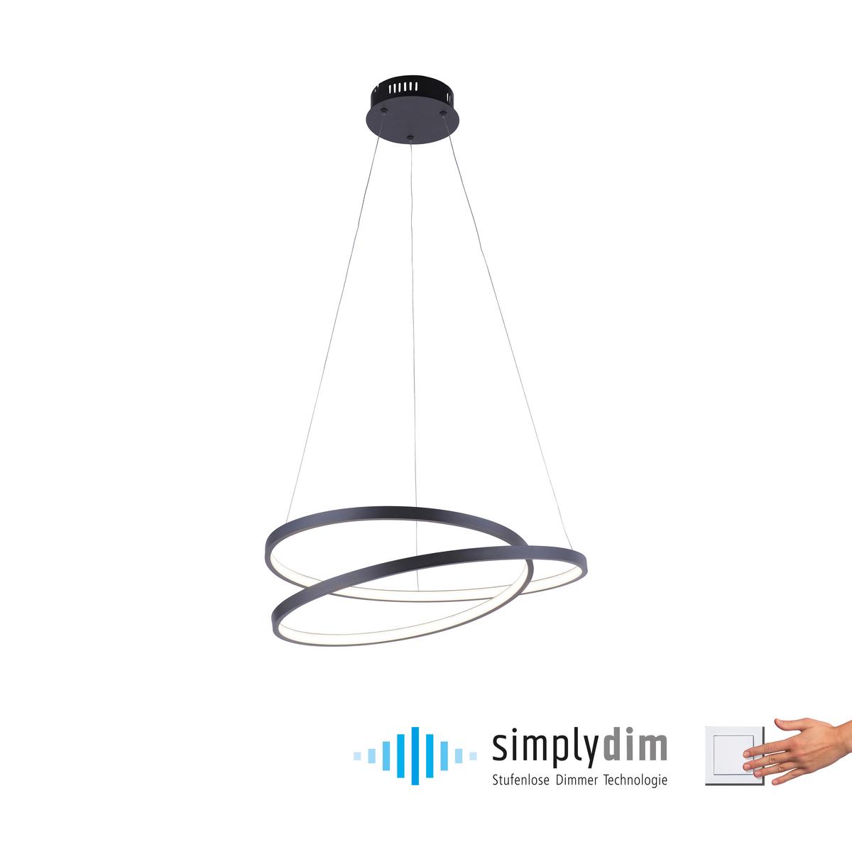 LED-Hängeleuchte Roman H: 120 cm 1-Flammig dimmbar - Schwarz, Design, Kunststoff/Metall (60/60/100cm) - Paul Neuhaus