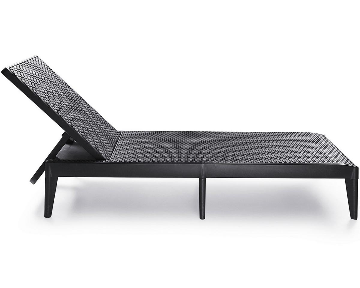 Sonnenliege Milan Anthrazit Rückenlehne verstellbar - Anthrazit, Basics, Kunststoff (183/28,5/57cm)