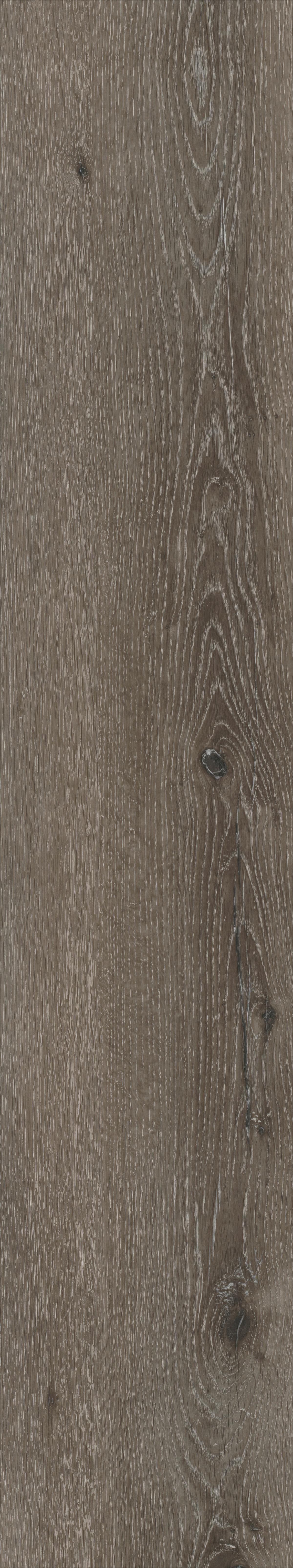 Designboden Eichefarben Landhausdiele Stärke 3,8mm - Eichefarben, Basics, Kunststoff (122/22.8/0.38cm)