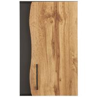 Horná skrinka TIMBER -EXKLUSIV- - Modern, kov/kompozitné drevo (40/65/20cm) - Premium Living