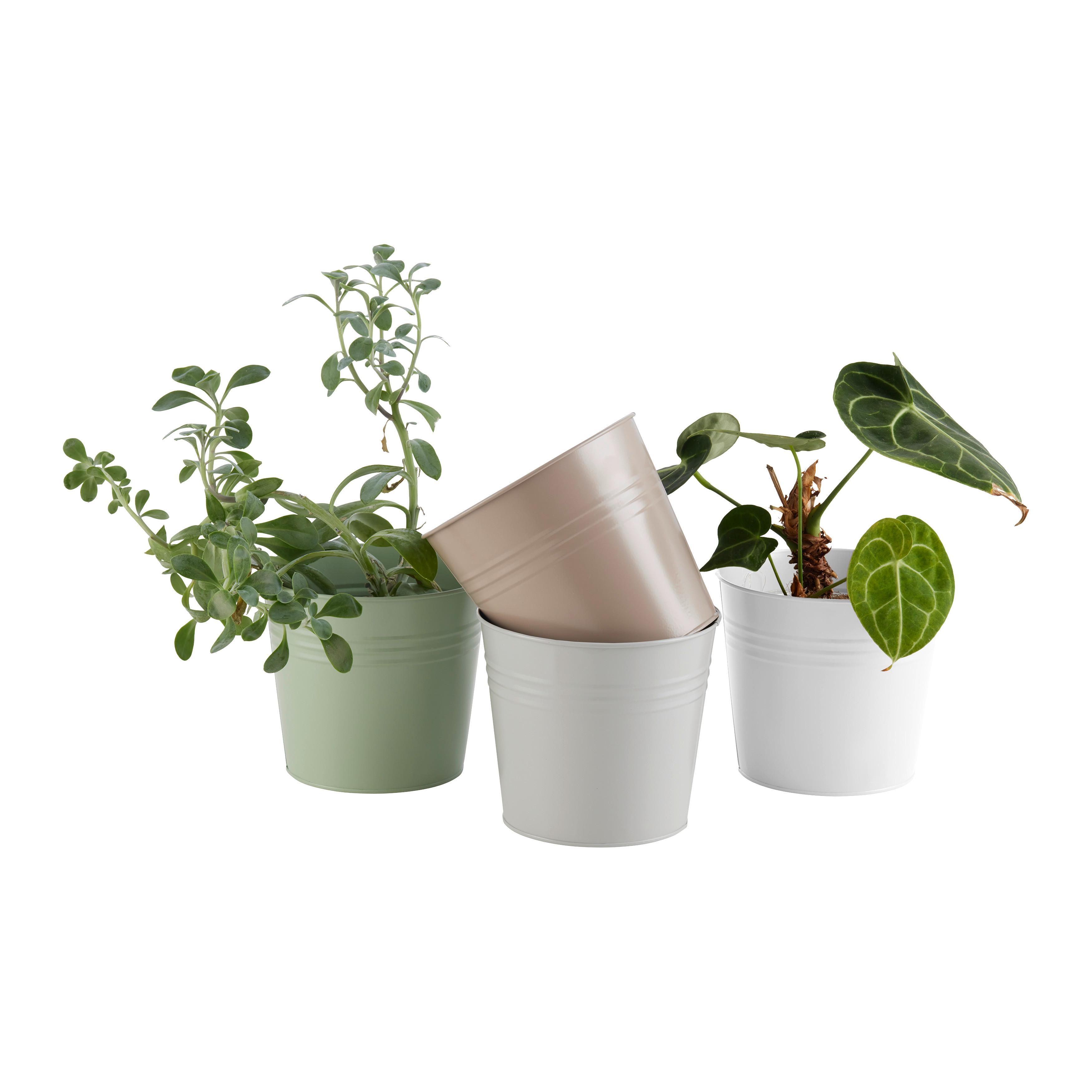 Kvetináč NORA - viacfarebná, Konventionell, kov (15/17cm) - Mömax