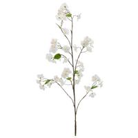 Rozkvitnutá vetvička čerešne Výška 126 cm - biela/zelená, Basics, kov/textil (126cm) - Mömax