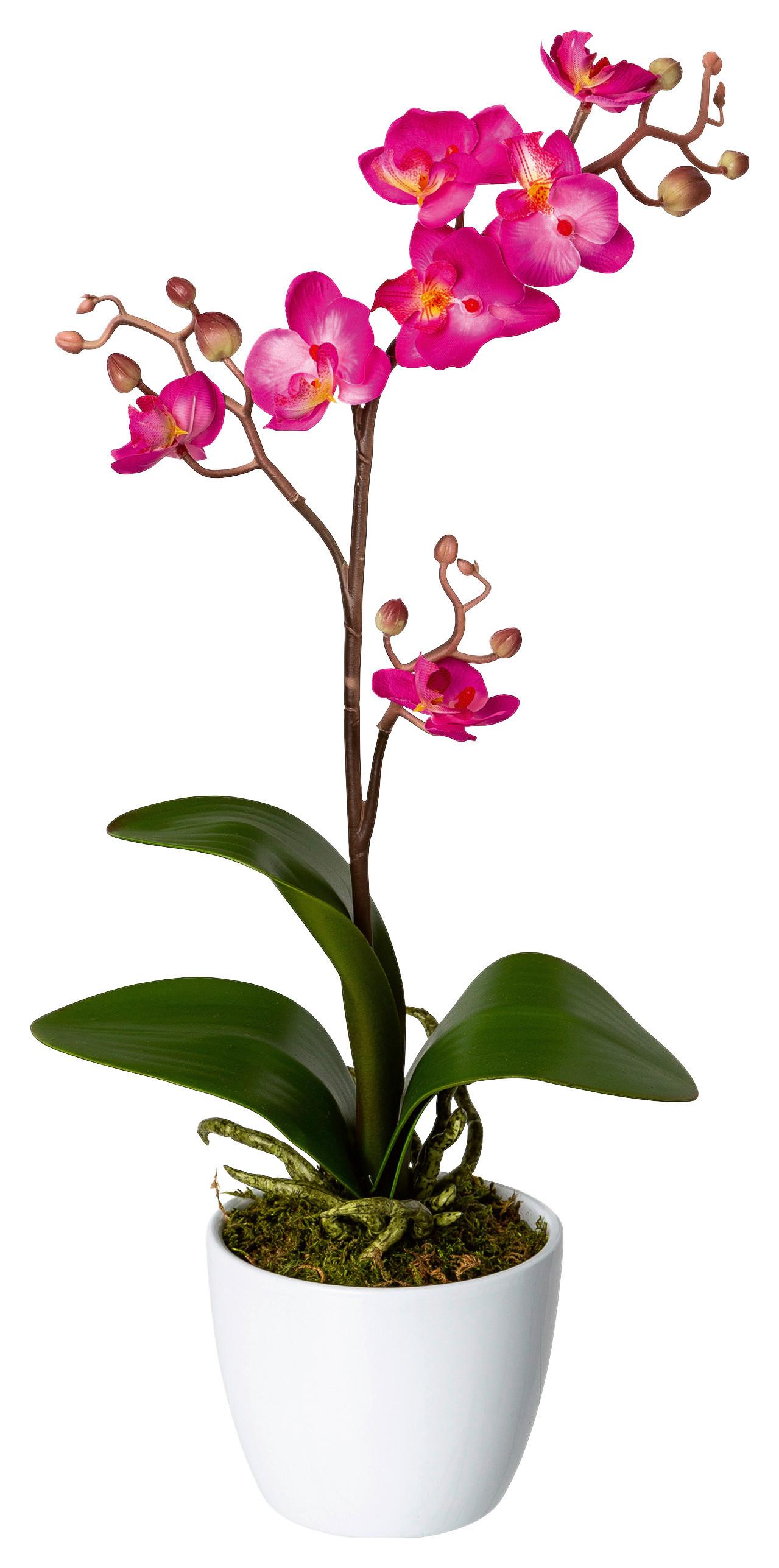 Kunstpflanze Orchideen Rosa, Topf: Weiß, H: 55 cm - Rosa/Weiß, Design, Keramik/Kunststoff (55cm) - P & B