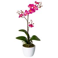 Kunstpflanze Orchideen Rosa, Topf: Weiß, H: 55 cm - Rosa/Weiß, Design, Keramik/Kunststoff (55cm) - P & B